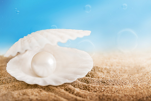 an open sea shell with a pearl surrounded by air bubbles