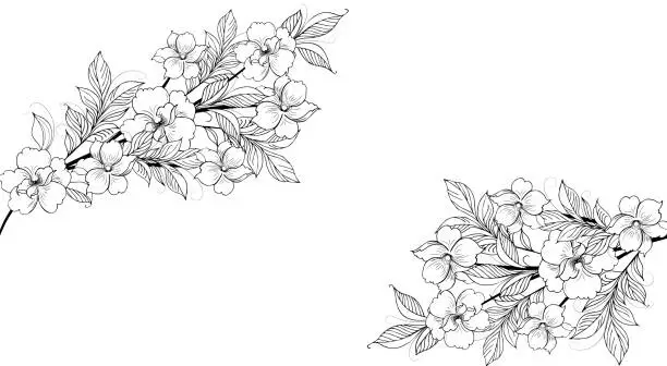 Vector illustration of Floral background, Floral composition, floral background with tender flowers and branches of buds. Hand drawing