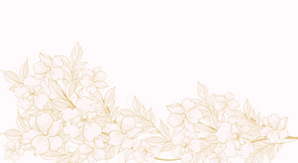 Floral background, Floral composition, floral background with tender flowers and branches of buds. Hand drawing. For stylized decor, invitations, postcards, posters, cards, backgrounds, as clipart Floral background, Floral composition, floral background with tender flowers and branches of buds. Hand drawing. For stylized decor, invitations, postcards, posters, cards, backgrounds, as clipart oriental cherry tree stock illustrations