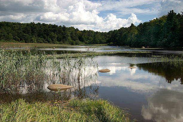 istock Lac du merle, Sidobre, midi-pyrenees 147254008