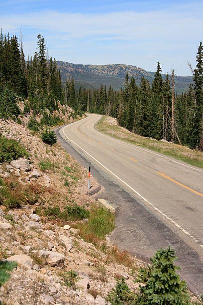 istock Driving in the High Uintas 147254065