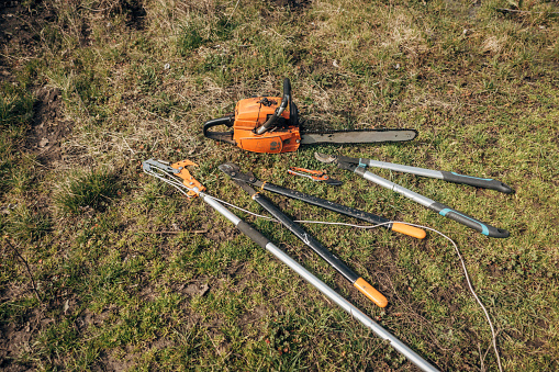 Agricultural equipment for pruning branches in the orchard