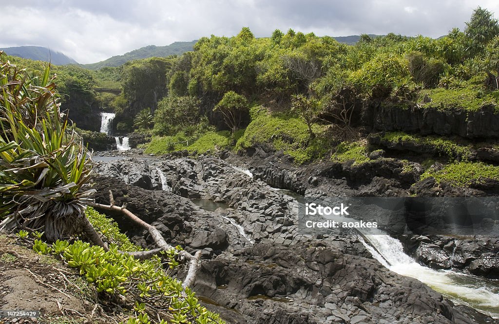 Cascada Tropical - Foto de stock de Aire libre libre de derechos