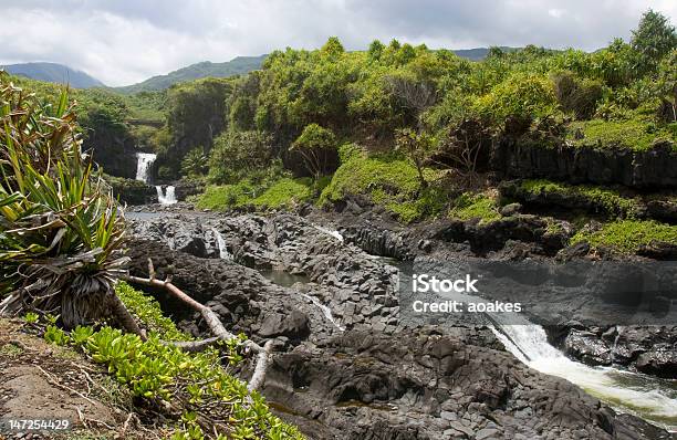 Cascada Tropical Foto de stock y más banco de imágenes de Aire libre - Aire libre, Bosque, Catarata