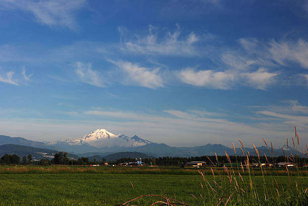 istock farmland and mt. baker 147254494
