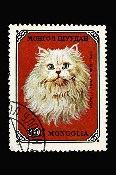 istock Mongolian postage stamp with long haired white persian cat 147254527