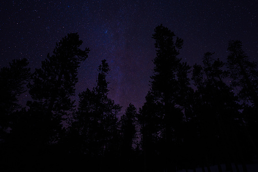 Milky Way and star night scape with trees in Colorado
