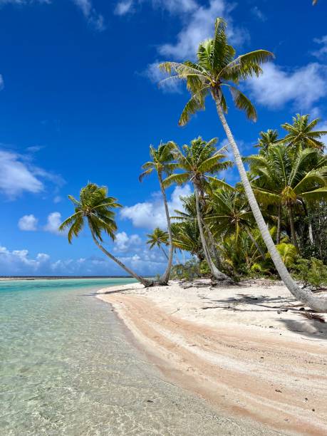 istock Paradise beach desert island 1472546338