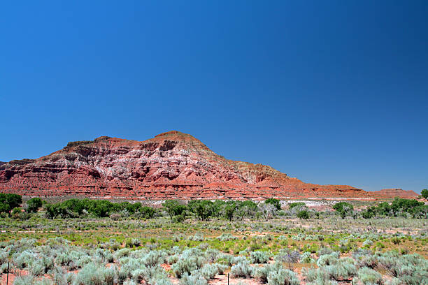 istock Zion National Park, USA 147254841