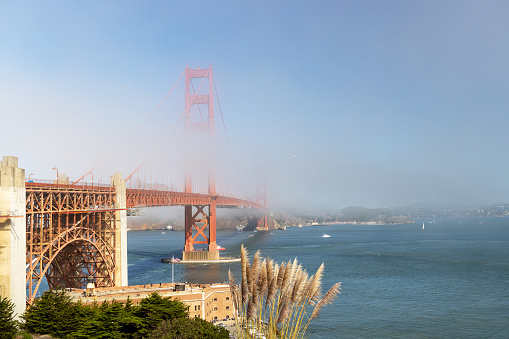 Aerial View of Golden Gate Bridge rising up through the fog. Fog billowing over the Bridge on a blue sky day.