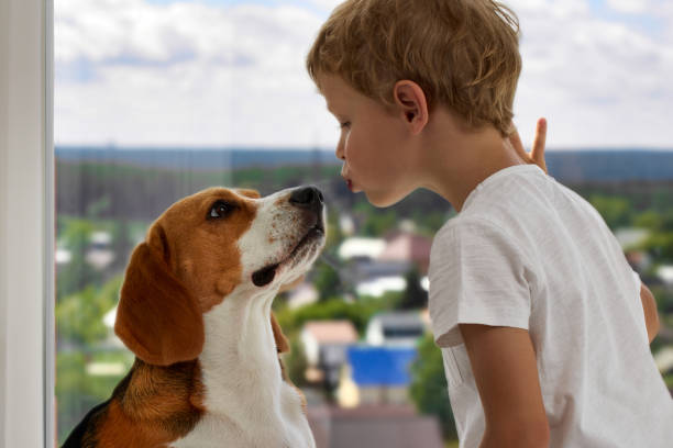 istock boy stretched out his lips for a kiss with his cute pet 1472552773