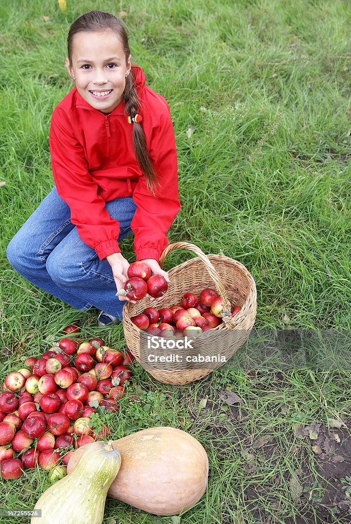 Preteen girl on grass Preteen girl sits in green grass holding basket of organic apples Apple - Fruit Stock Photo