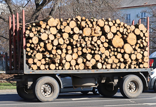 Firewood on a trailer winter time