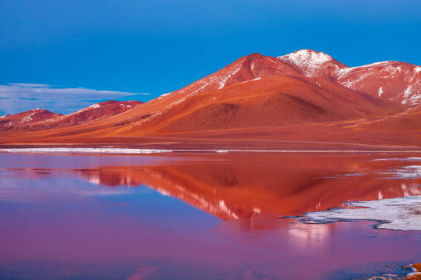 восход солнца над лагуна колорада, боливийский альтиплано - altiplano стоковые фото и изображения