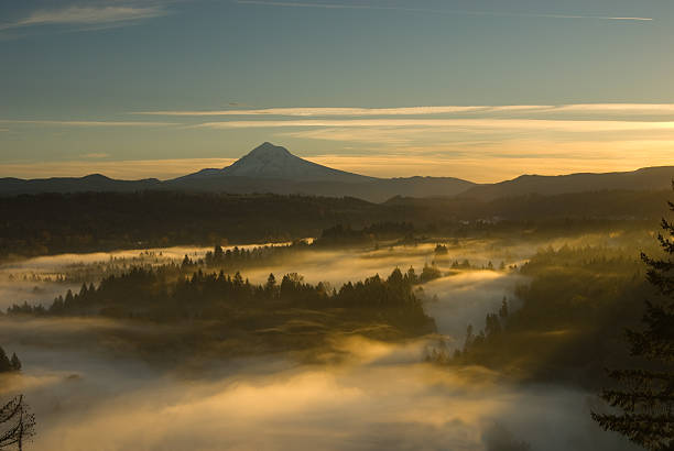 Mt. Hood fog from Jonsrud Viewpoint stock photo