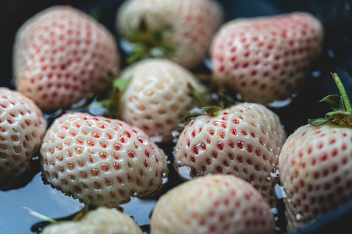 White strawberries in a bowl macrophotography