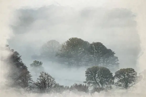 Vector illustration of A Bamford Edge digital watercolour painting of trees and mist in the Peak District, UK.