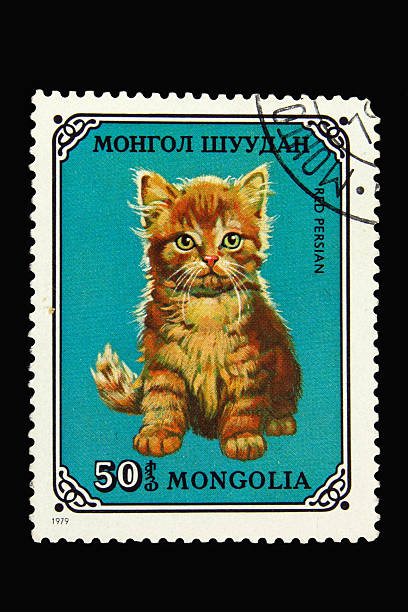 istock Mongolian postage stamp with red persian cat 147256296