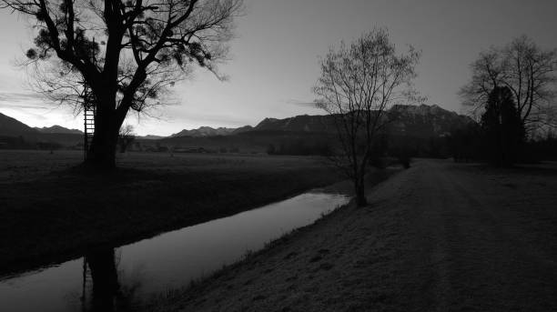 échelle adossée à un arbre derrière une rivière en noir et blanc - white black tree fog photos et images de collection