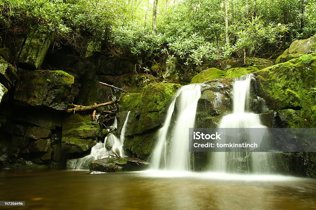 Mossy cascata - Foto stock royalty-free di Acqua