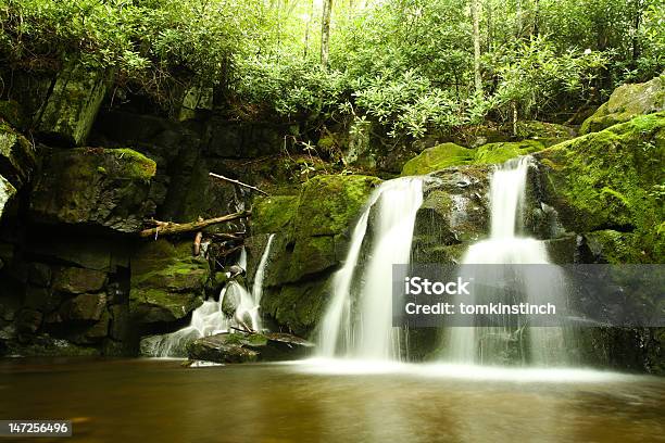 Mossy Cascata - Fotografie stock e altre immagini di Acqua - Acqua, Acqua fluente, Albero