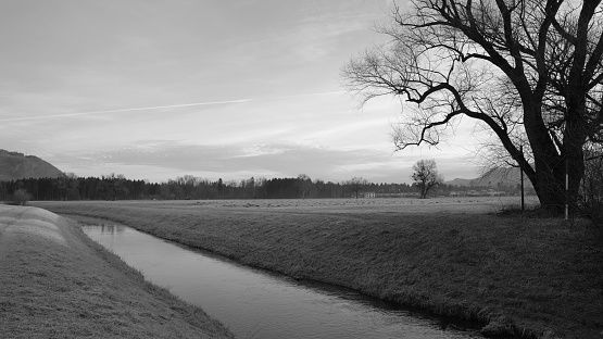 Long river in landscape with bare tree next to it and mountains and sky in background in black and white