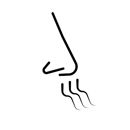 Simple sniffing nose icon. Editable vector.