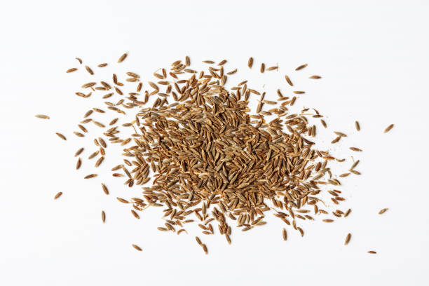 istock Cumin seeds or zira spice. 1472567833