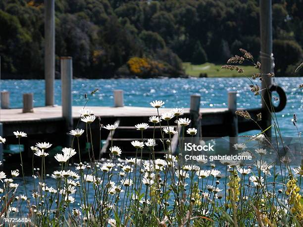 Argentina Paisagensbariloche - Fotografias de stock e mais imagens de América do Sul - América do Sul, Ao Ar Livre, Argentina