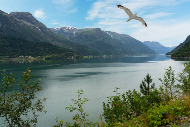 istock Mountain landscape, Norway, Norwegian fjords 1472568121