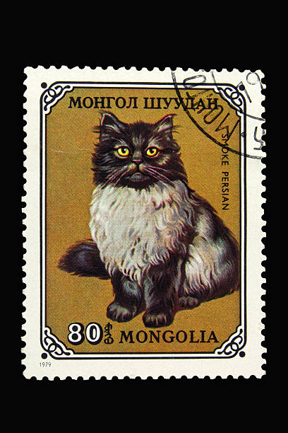 istock Mongolian postage stamp with smoke persian cat 147256863