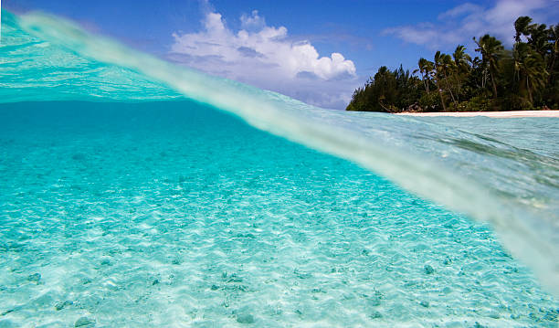 istock ropical island in the Pazific Ocean 147256880