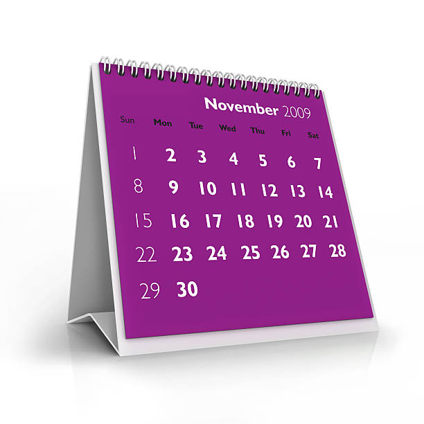 November 2009 calendar