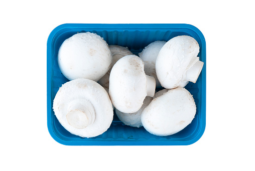 Top view whole champignon mushrooms in blue plastic container isolated on a white background. Mushrooms background. Fresh porcini champignon mushrooms close up.