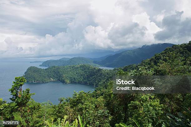 Elementos Doparaíso - Fotografias de stock e mais imagens de Ao Ar Livre - Ao Ar Livre, Baía, Beleza natural