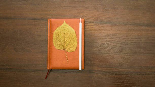 istock A beautiful pencil lies on a large notebook 1472572408