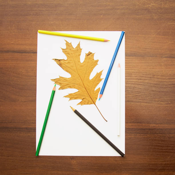 istock A beautiful pencil lies on a magical background 1472572436