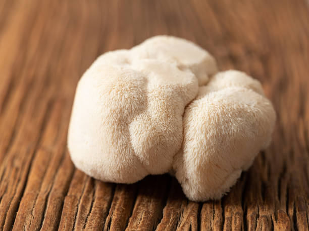istock Hericium erinaceus mushroom on wooden background 1472572767