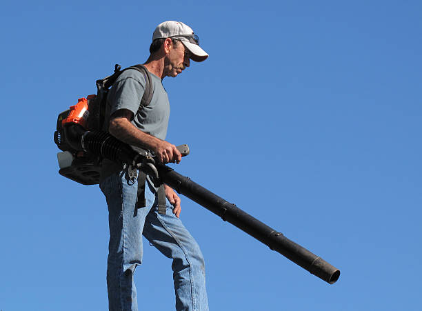 Blower Man stock photo