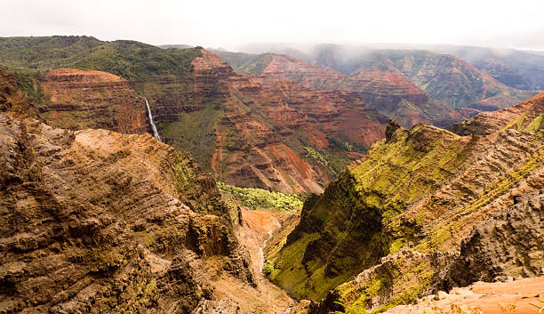 waimea canyon, waipo'o falls - kauai tropical climate green travel destinations imagens e fotografias de stock