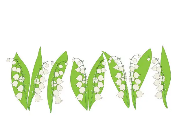 Vector illustration of Lily of the valley banner,
Vector illustration isolated on white background