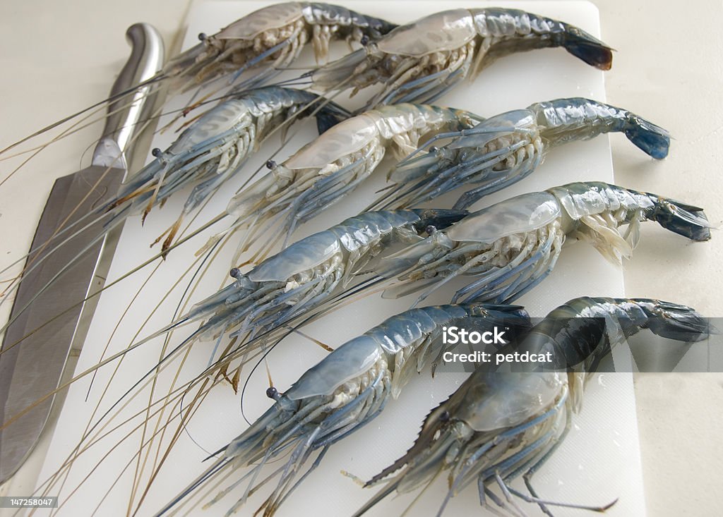 shrimp - Lizenzfrei Fisch Stock-Foto