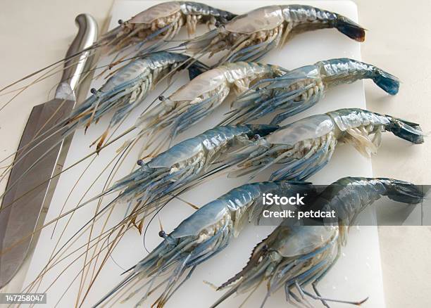 Shrimp Stockfoto und mehr Bilder von Fisch - Fisch, Fische und Meeresfrüchte, Fotografie