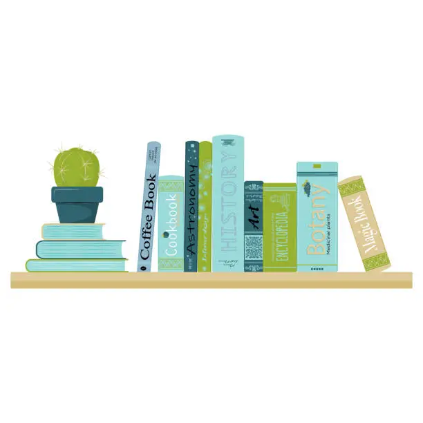 Vector illustration of Colored bookshelf with cactus