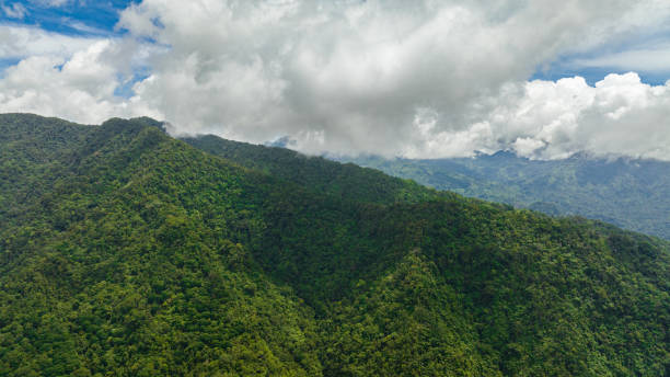 istock Top view of Mountain slopes covered with rainforest. 1472582112