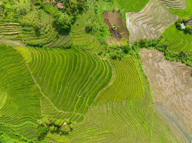 istock Farmland in the Philippines. 1472582392