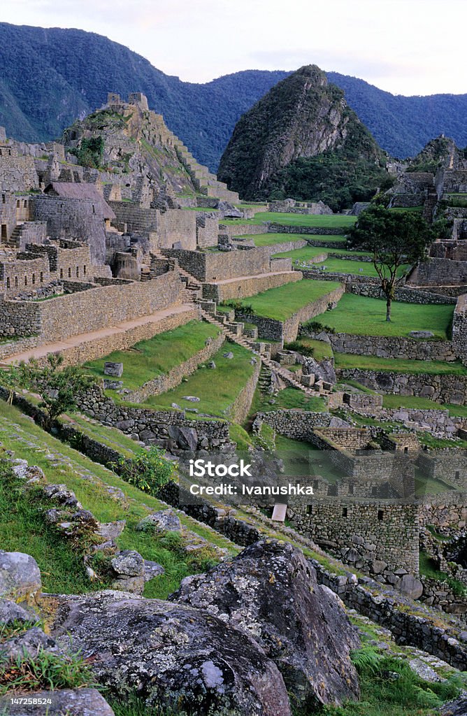 Cidade de Machu Picchu - Royalty-free Ajardinado Foto de stock