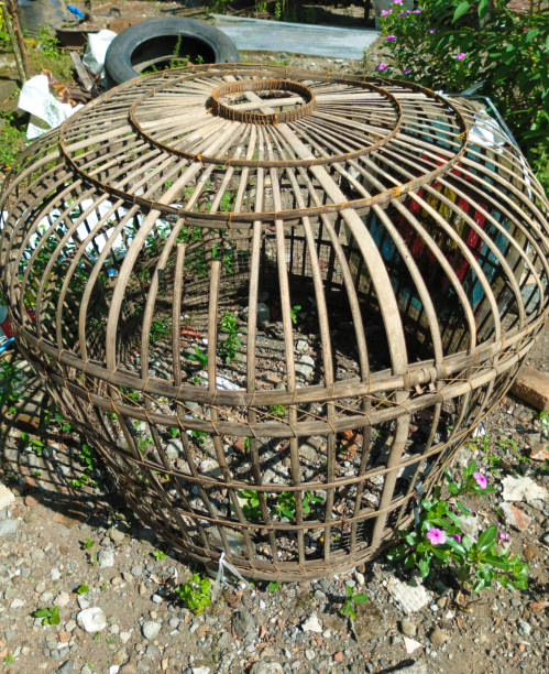 istock Photo of bamboo chicken cage 1472587477