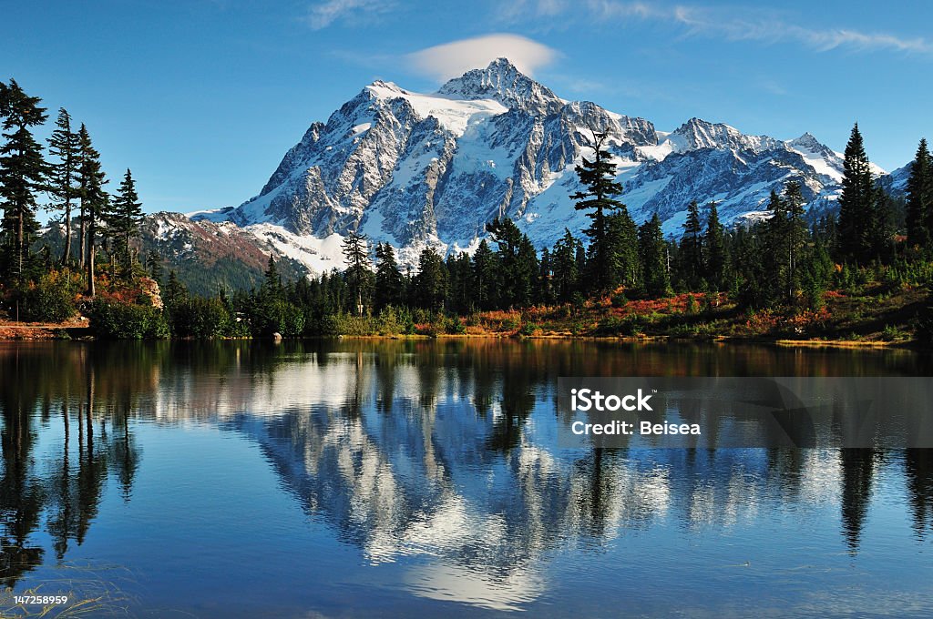 Picture Lake Reflection Reflection of Mt Shuksan on Picture Lake at Mount Baker Autumn Stock Photo