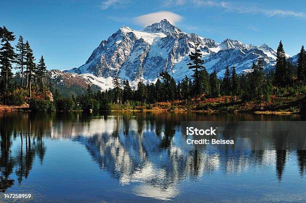 Picture Lake Reflection Stock Photo - Download Image Now - Autumn, Bush, Cloud - Sky